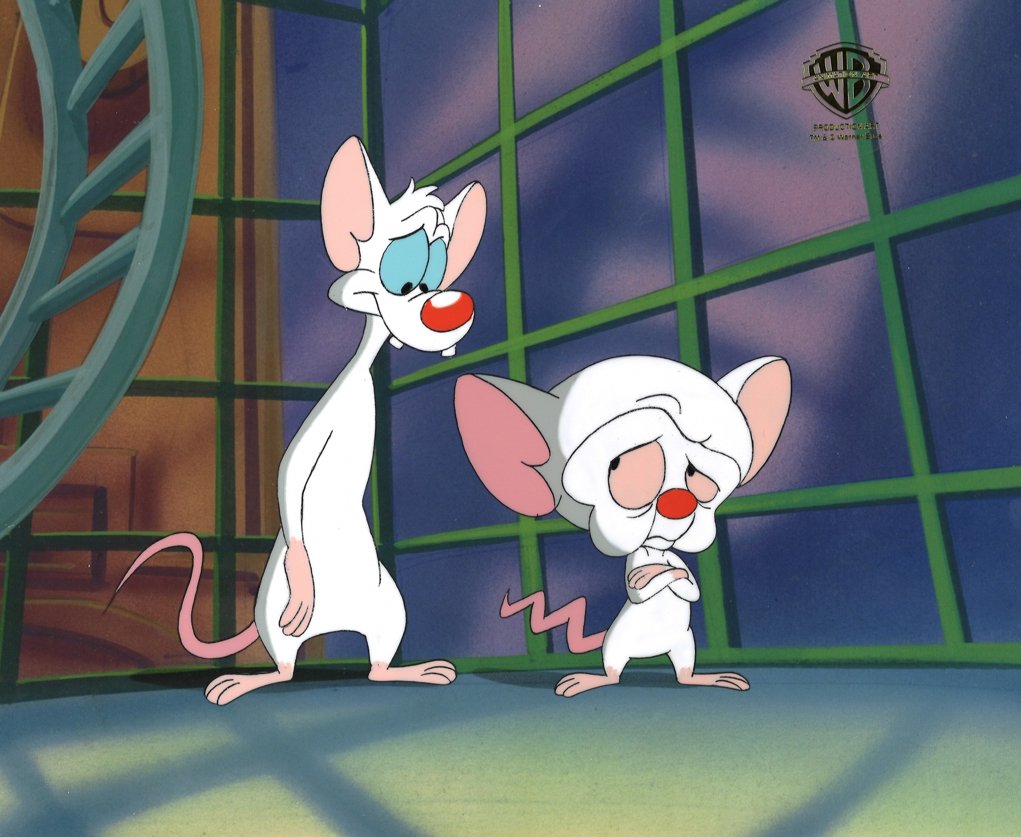 Pinky and the Brain 5832