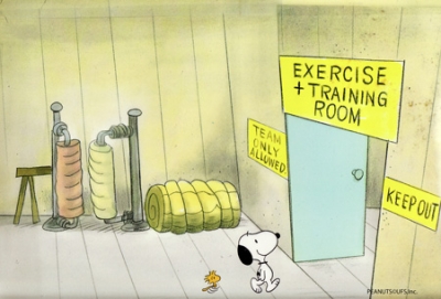Snoopy and Woodstock gym