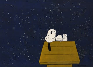 Snoopy sleeping on dog house