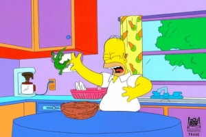 Homer Simpson bit by lizard